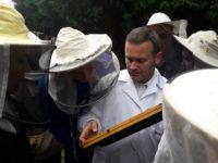 Zdjęcie przedstawiające pszczelarza pokazującego element ula